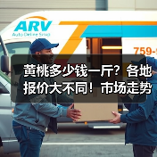 黄桃多少钱一斤？各地报价大不同！市场走势如何？（图4）