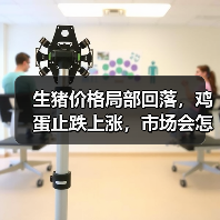 生猪价格局部回落,鸡蛋止跌上涨,市场会怎么走?(图4) 生猪价格局部回落,鸡蛋止跌上涨,市场会怎么走?(图4)