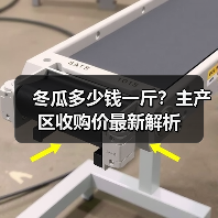 冬瓜多少钱一斤？主产区收购价最新解析（图2）
