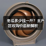 冬瓜多少钱一斤？主产区收购价最新解析