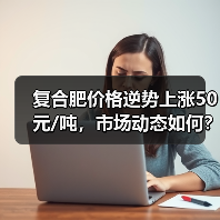 复合肥价格逆势上涨50元/吨，市场动态如何？