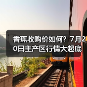 香蕉收购价如何?7月20日主产区行情大起底(图1) 香蕉收购价如何?7月20日主产区行情大起底(图1)
