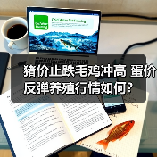 猪价止跌毛鸡冲高 蛋价反弹养殖行情如何？（图3）