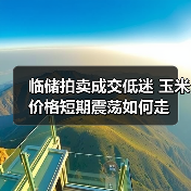 临储拍卖成交低迷 玉米价格短期震荡如何走(图1) 临储拍卖成交低迷 玉米价格短期震荡如何走(图1)