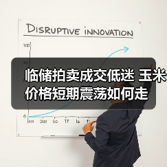 临储拍卖成交低迷 玉米价格短期震荡如何走(图3) 临储拍卖成交低迷 玉米价格短期震荡如何走(图3)