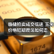 临储拍卖成交低迷 玉米价格短期震荡如何走(图4) 临储拍卖成交低迷 玉米价格短期震荡如何走(图4)