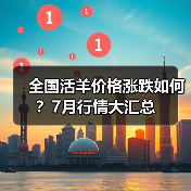 全国活羊价格涨跌如何？7月行情大汇总（图2）