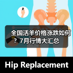 全国活羊价格涨跌如何？7月行情大汇总（图3）