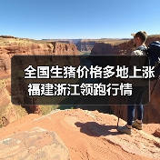 全国生猪价格多地上涨 福建浙江领跑行情（图2）