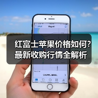 红富士苹果价格如何？最新收购行情全解析（图3）
