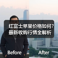 红富士苹果价格如何？最新收购行情全解析（图4）