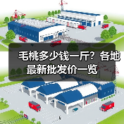 毛桃多少钱一斤？各地最新批发价一览（图4）