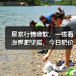 尿素行情疲软，一铵看涨钾肥坚挺，今日肥价如何？（图3）