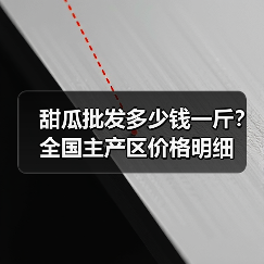甜瓜批发多少钱一斤？全国主产区价格明细（图2）