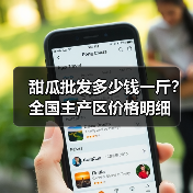 甜瓜批发多少钱一斤？全国主产区价格明细