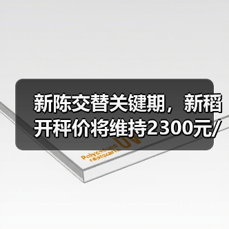 新陈交替关键期，新稻开秤价将维持2300元/吨？（图2）