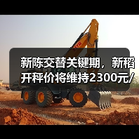 新陈交替关键期，新稻开秤价将维持2300元/吨？（图4）