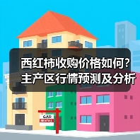 西红柿收购价格如何？主产区行情预测及分析（图3）