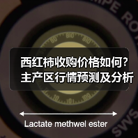 西红柿收购价格如何？主产区行情预测及分析（图4）