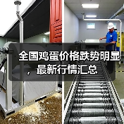 全国鸡蛋价格跌势明显，最新行情汇总（图2）