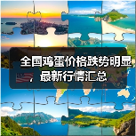 鸡蛋价格整体下跌，各地行情如何？-辰飞雨园艺网