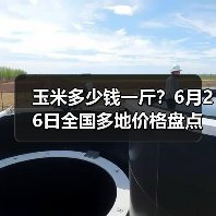 玉米多少钱一斤？6月26日全国多地价格盘点