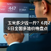 玉米多少钱一斤？6月26日全国多地价格盘点（图2）
