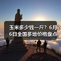 玉米多少钱一斤？6月26日全国多地价格盘点（图4）