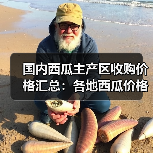 国内西瓜主产区收购价格汇总：各地西瓜价格差异大？（图3）