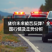 猪价未来能否反弹？全国行情及走势分析（图1）