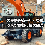 大蒜多少钱一斤？各地收购价最新行情大曝光（图1）
