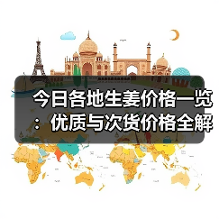 今日各地生姜价格一览：优质与次货价格全解析（图4）