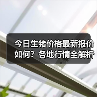 今日生猪价格最新报价如何？各地行情全解析（图2）