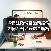 今日生猪价格最新报价如何？各地行情全解析（图3）