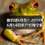 猪价破6在即？2018年6月14日农产价格全解析（图3）