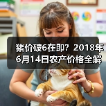 猪价破6在即？2018年6月14日农产价格全解析（图4）