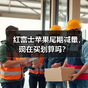 红富士苹果尾期减量，现在买划算吗？（图1）