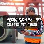 活鹅价格多少钱一斤？2025年行情全解析（图3）