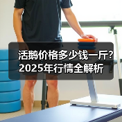 活鹅价格多少钱一斤？2025年行情全解析（图4）