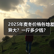 2025年麦冬价格各地差异大？一斤多少钱？（图2）