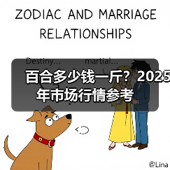 百合多少钱一斤？2025年市场行情参考（图2）
