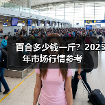 百合多少钱一斤？2025年市场行情参考（图1）