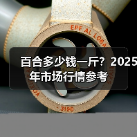 百合多少钱一斤？2025年市场行情参考（图3）