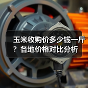 玉米收购价多少钱一斤？各地价格对比分析（图4）