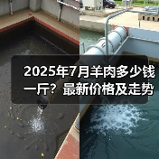2025年7月羊肉多少钱一斤？最新价格及走势分析（图2）
