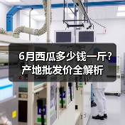 6月西瓜多少钱一斤？产地批发价全解析（图2）