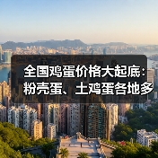 全国鸡蛋价格大起底：粉壳蛋、土鸡蛋各地多少钱一斤？（图3）