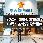 2025小龙虾批发价跌至10元？各地行情大起底（图4）
