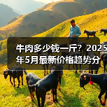 牛肉多少钱一斤？2025年5月最新价格趋势分析（图4）