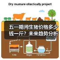 五一期间生猪价格多少钱一斤？未来趋势分析